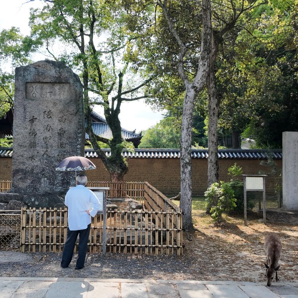 Deer and old man