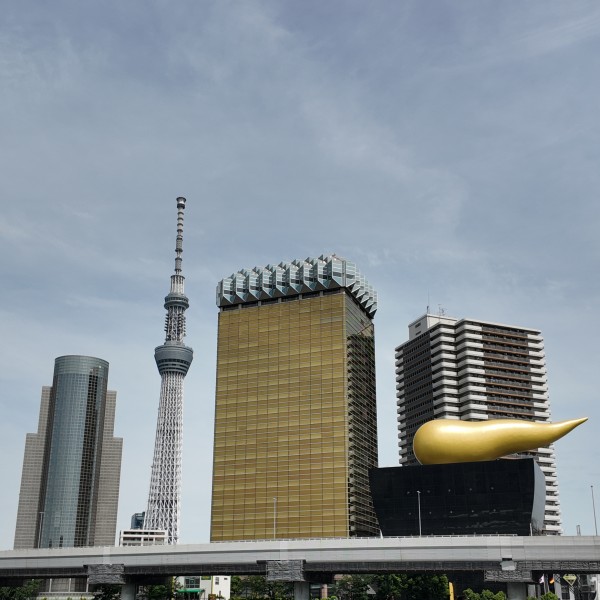 View of the Skytree tower from across the water