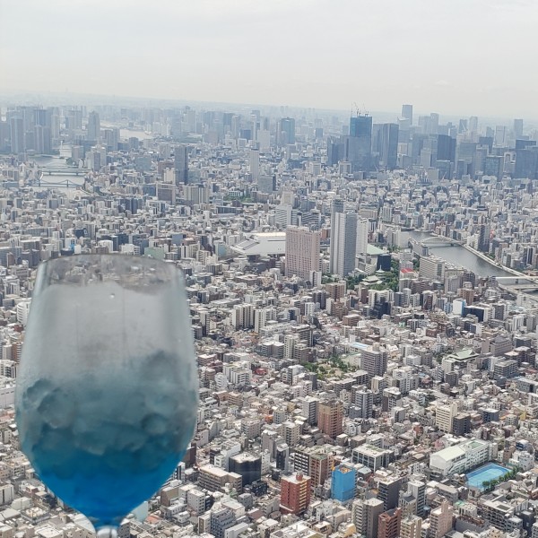 View from the Skytree tower